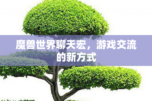 魔兽世界聊天宏，游戏交流的新方式