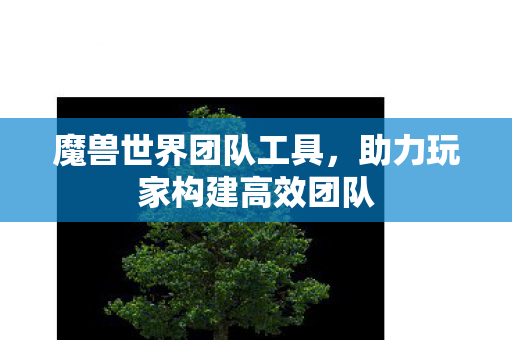 魔兽世界团队工具,助力玩家构建高效团队 魔兽世界团队工具,助力玩家构建高效团队