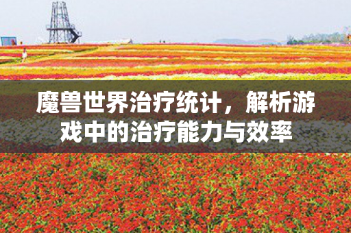 魔兽世界治疗统计,解析游戏中的治疗能力与效率 魔兽世界治疗统计,解析游戏中的治疗能力与效率
