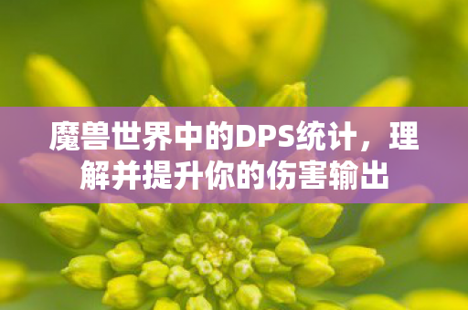 魔兽世界中的DPS统计,理解并提升你的伤害输出 魔兽世界中的DPS统计,理解并提升你的伤害输出