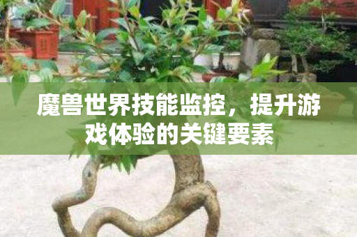 魔兽世界技能监控，提升游戏体验的关键要素