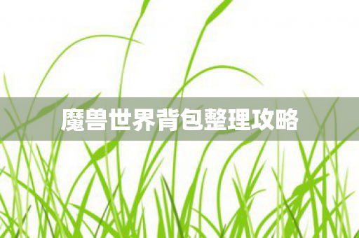 魔兽世界背包整理攻略 魔兽世界背包整理攻略