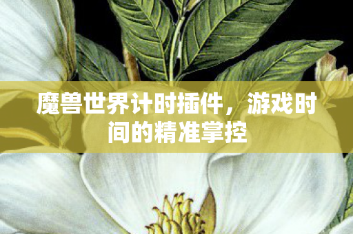 魔兽世界计时插件,游戏时间的精准掌控 魔兽世界计时插件,游戏时间的精准掌控