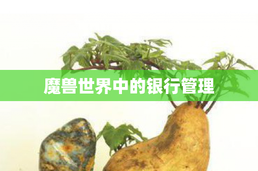 魔兽世界中的银行管理 魔兽世界中的银行管理