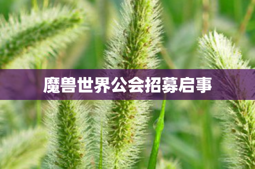 魔兽世界公会招募启事 魔兽世界公会招募启事