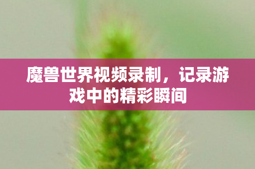 魔兽世界视频录制,记录游戏中的精彩瞬间 魔兽世界视频录制,记录游戏中的精彩瞬间