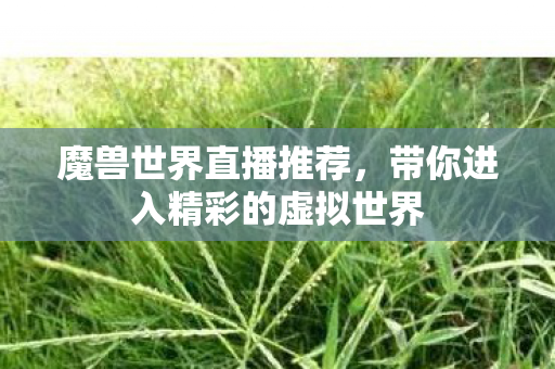 魔兽世界直播推荐,带你进入精彩的虚拟世界 魔兽世界直播推荐,带你进入精彩的虚拟世界
