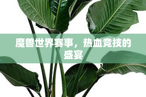 魔兽世界赛事,热血竞技的盛宴 魔兽世界赛事,热血竞技的盛宴