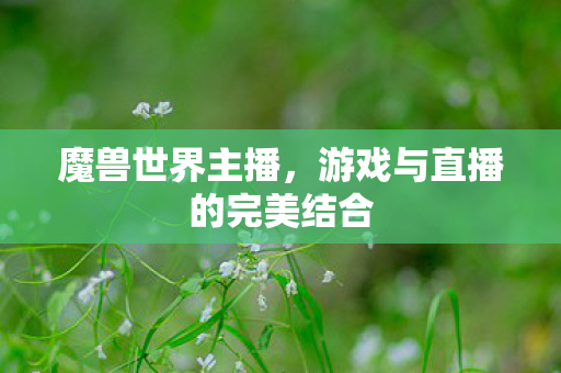 魔兽世界主播，游戏与直播的完美结合