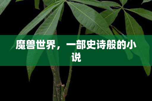 魔兽世界,一部史诗般的小说 魔兽世界,一部史诗般的小说