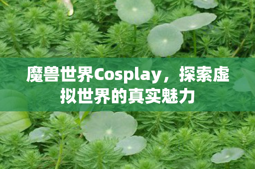 魔兽世界Cosplay,探索虚拟世界的真实魅力 魔兽世界Cosplay,探索虚拟世界的真实魅力