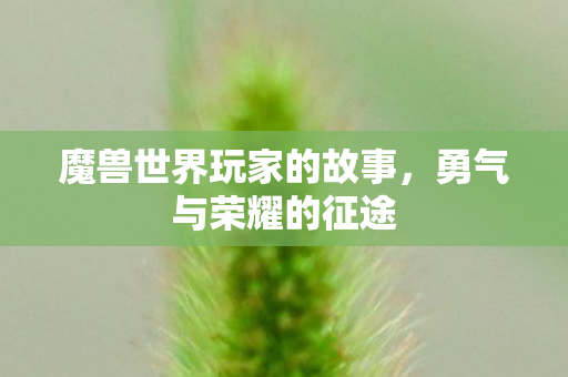 魔兽世界玩家的故事,勇气与荣耀的征途 魔兽世界玩家的故事,勇气与荣耀的征途