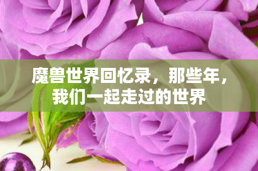 魔兽世界回忆录，那些年，我们一起走过的世界