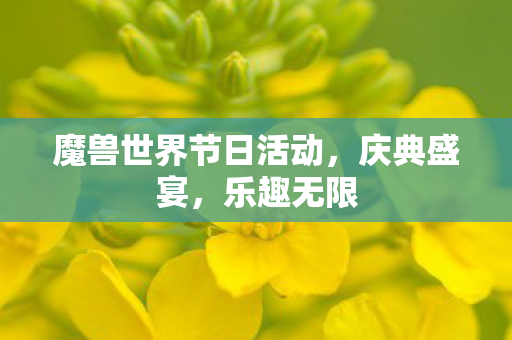 魔兽世界节日活动，庆典盛宴，乐趣无限
