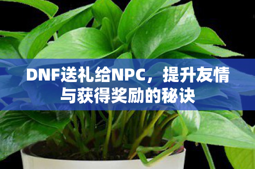 DNF送礼给NPC，提升友情与获得奖励的秘诀