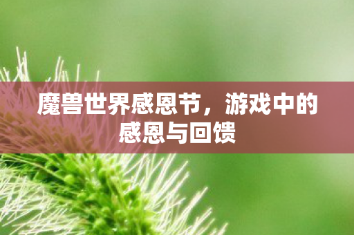 魔兽世界感恩节,游戏中的感恩与回馈 魔兽世界感恩节,游戏中的感恩与回馈