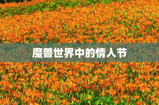 魔兽世界中的情人节 魔兽世界中的情人节