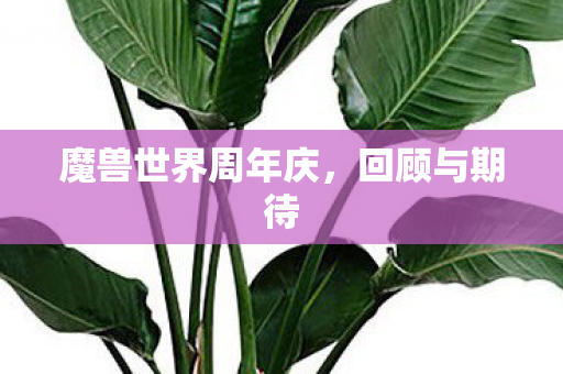 魔兽世界周年庆,回顾与期待 魔兽世界周年庆,回顾与期待