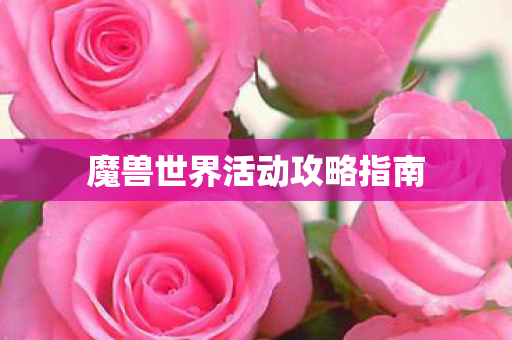 魔兽世界活动攻略指南