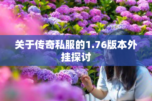 关于传奇私服的1.76版本外挂探讨 关于传奇私服的1.76版本外挂探讨