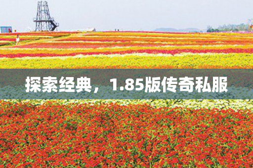探索经典,1.85版传奇私服 探索经典,1.85版传奇私服