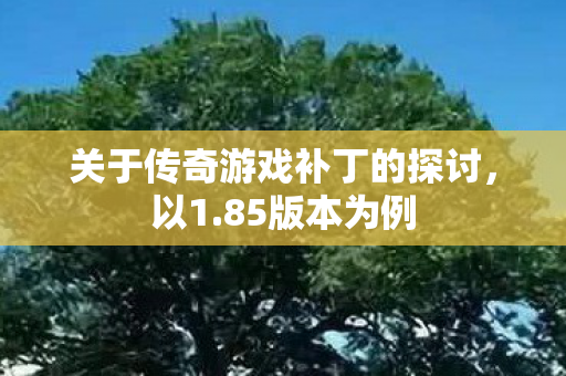 关于传奇游戏补丁的探讨,以1.85版本为例 关于传奇游戏补丁的探讨,以1.85版本为例