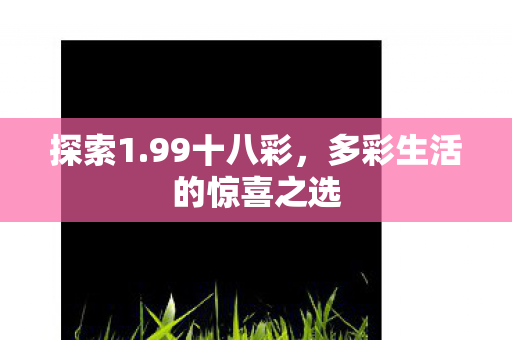 探索1.99十八彩，多彩生活的惊喜之选