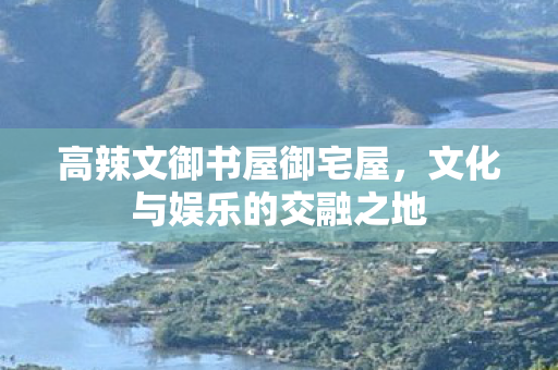高辣文御书屋御宅屋,文化与娱乐的交融之地 高辣文御书屋御宅屋,文化与娱乐的交融之地