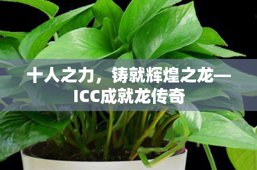十人之力,铸就辉煌之龙—ICC成就龙传奇 十人之力,铸就辉煌之龙—ICC成就龙传奇