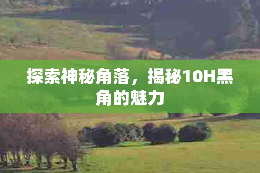 探索神秘角落，揭秘10H黑角的魅力