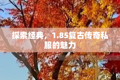 探索经典,1.85复古传奇私服的魅力 探索经典,1.85复古传奇私服的魅力