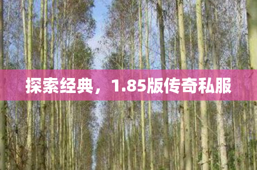 探索经典,1.85版传奇私服 探索经典,1.85版传奇私服