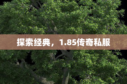 探索经典,1.85传奇私服 探索经典,1.85传奇私服