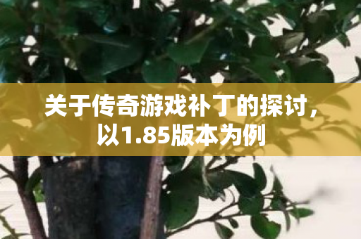 关于传奇游戏补丁的探讨,以1.85版本为例 关于传奇游戏补丁的探讨,以1.85版本为例