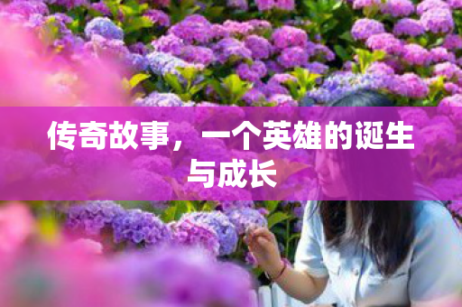 传奇故事,一个英雄的诞生与成长 传奇故事,一个英雄的诞生与成长