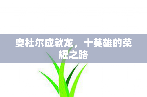 奥杜尔成就龙,十英雄的荣耀之路 奥杜尔成就龙,十英雄的荣耀之路