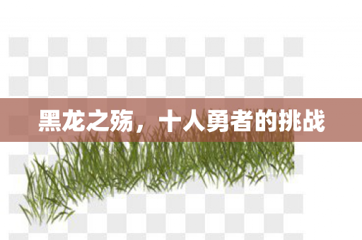 黑龙之殇,十人勇者的挑战 黑龙之殇,十人勇者的挑战