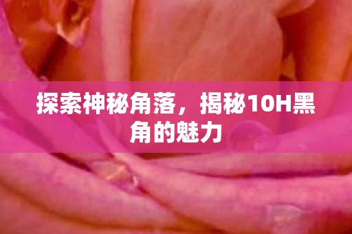 探索神秘角落,揭秘10H黑角的魅力 探索神秘角落,揭秘10H黑角的魅力