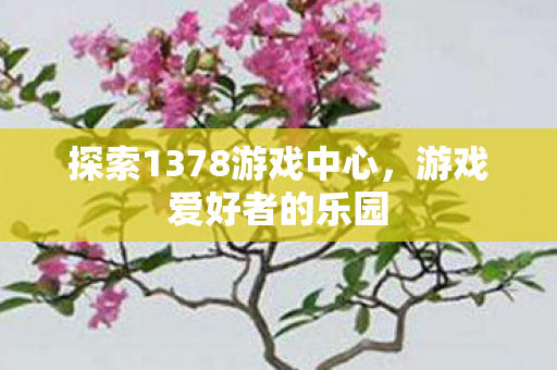 探索1378游戏中心,游戏爱好者的乐园 探索1378游戏中心,游戏爱好者的乐园
