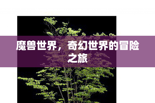 魔兽世界,奇幻世界的冒险之旅 魔兽世界,奇幻世界的冒险之旅