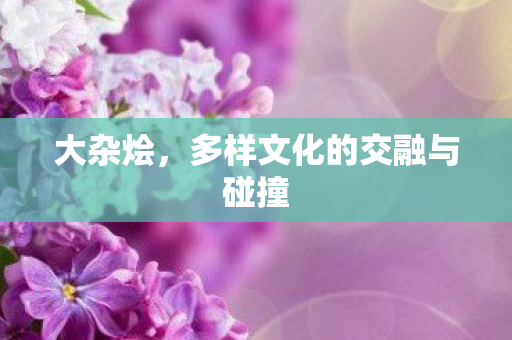 大杂烩，多样文化的交融与碰撞