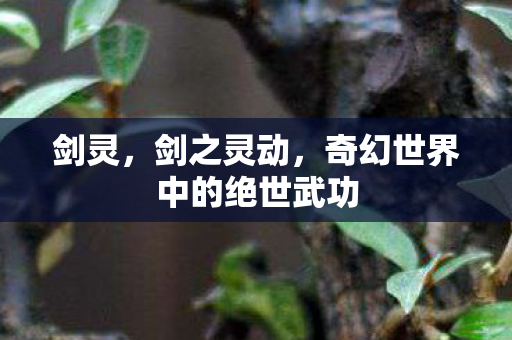 剑灵,剑之灵动,奇幻世界中的绝世武功 剑灵,剑之灵动,奇幻世界中的绝世武功