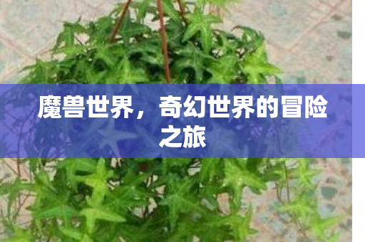 魔兽世界,奇幻世界的冒险之旅 魔兽世界,奇幻世界的冒险之旅