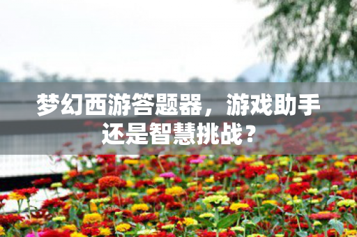 梦幻西游答题器，游戏助手还是智慧挑战？