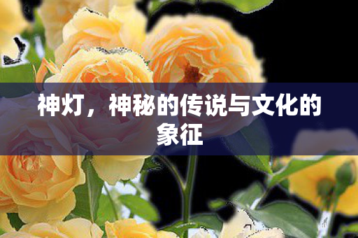 神灯,神秘的传说与文化的象征 神灯,神秘的传说与文化的象征