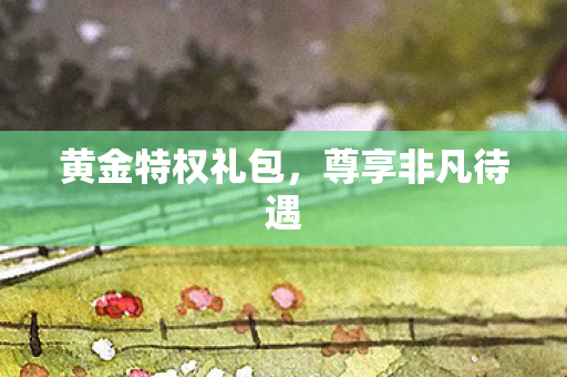 黄金特权礼包,尊享非凡待遇 黄金特权礼包,尊享非凡待遇