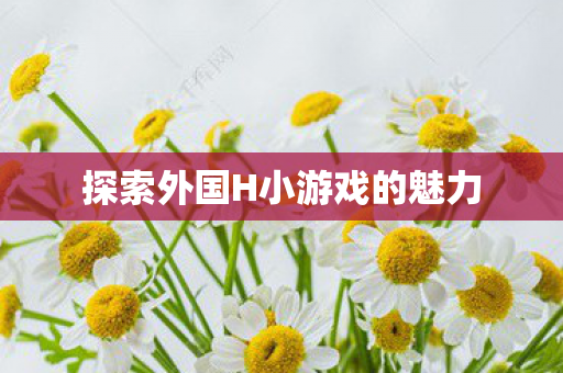 探索外国H小游戏的魅力 探索外国H小游戏的魅力