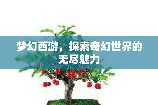 梦幻西游，探索奇幻世界的无尽魅力
