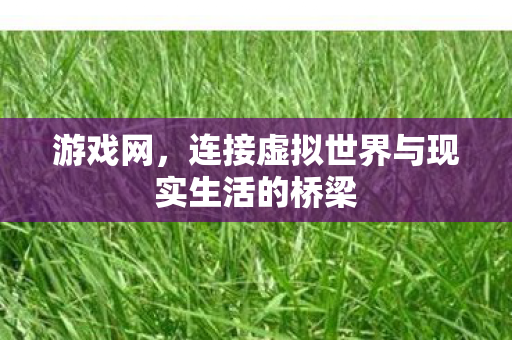 游戏网，连接虚拟世界与现实生活的桥梁