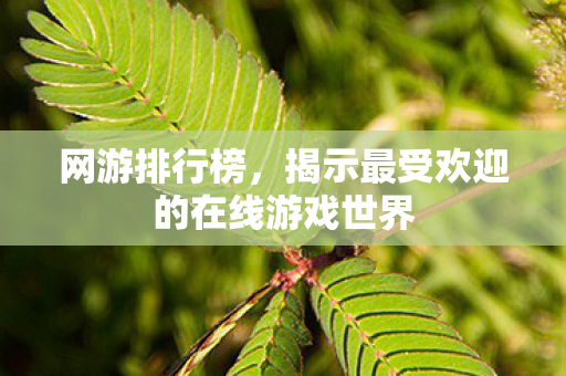 网游排行榜,揭示最受欢迎的在线游戏世界 网游排行榜,揭示最受欢迎的在线游戏世界